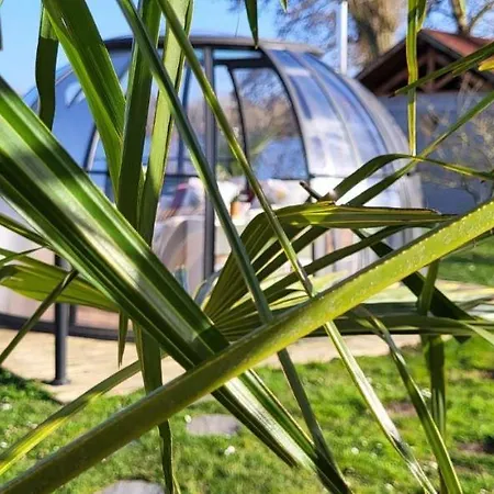 Le Dome Du Bed and breakfast *